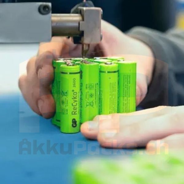 Akkureparatur & Zellentausch